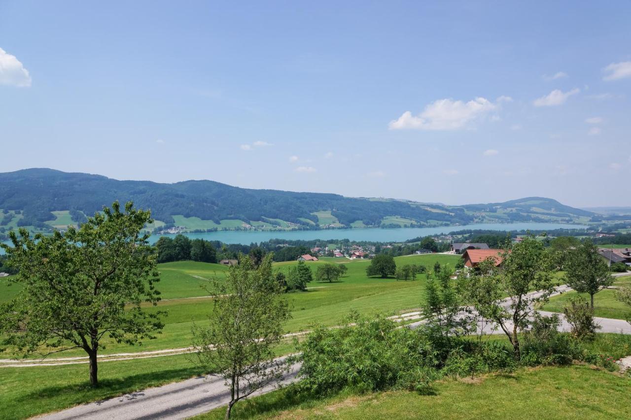 Familienferienhof Stabauer Zell am Moos Exterior photo